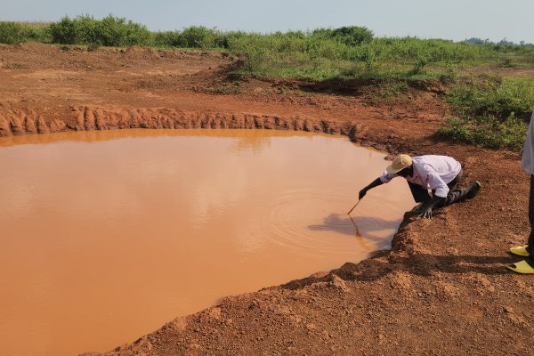 Grade one pupil drowns in a pond in Busia