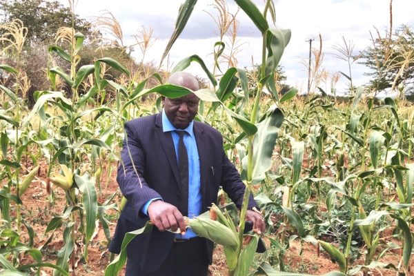 From barren to bounty: Farmer-principal turns Masinga Boys into agricultural powerhouse
