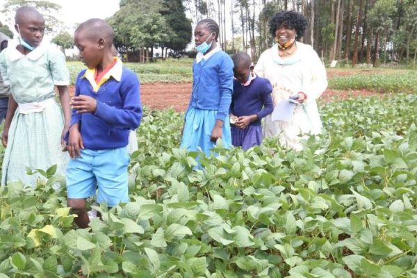 Kiambu Pupils enlightened on modern farming, KOPIA champion early agricultural literacy