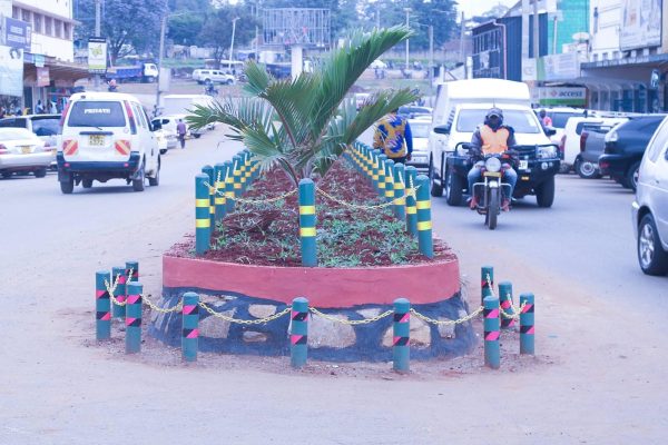 Trans Nzoia University too near, yet too far