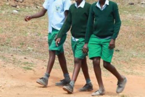 Protecting the boy child in school from all forms of abuse