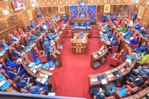 Senate probes ECDE, VTC gaps in Vihiga as Governor Ottichilo defends progress 2 vihiga