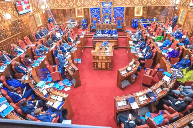 Student at the Senate