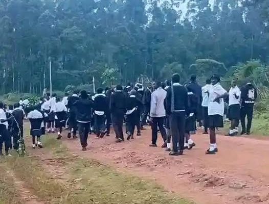 Trans Nzoia’s St. Crowley Lukesi students riot over hunger, demand principal exit