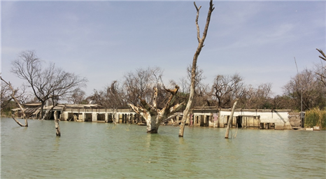Floods disrupt learning as schools submerged in Baringo and Naivasha