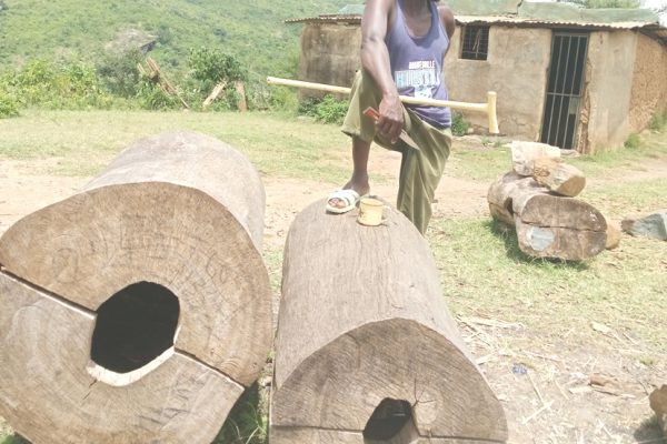Hive master: West Pokot artisan buzzes with success