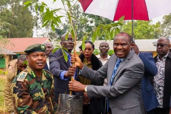 569757133 1185072126815099 3827112131032535721 n