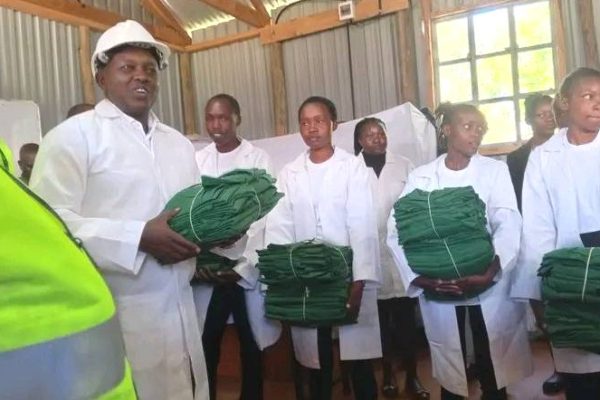 KIpsoen National Poly