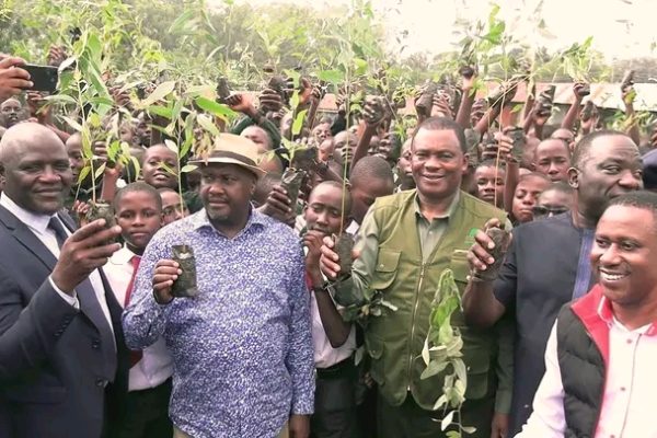 Maseno school chief principal Peter Otieno in grey suitduring tree planting exercise to mark mazingira day. Phoyo Godfrey Wamalwa