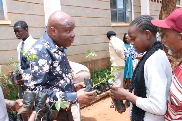 PS for Labour and Skills Development Shadrack Mwadime interacts with a student at Mwanyambo Primary School in Voi during the Mazingira Day tree planting exercise on Friday