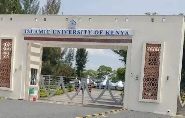 518376611 1133211112176176 2044539654773798878 n