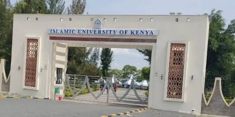 518376611 1133211112176176 2044539654773798878 n