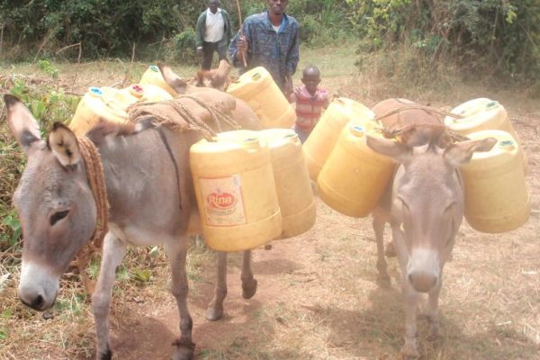 wawire e1763487526490