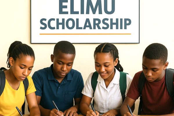elimu schorlship