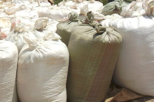 maize bags by The Star 1 e1764753063595