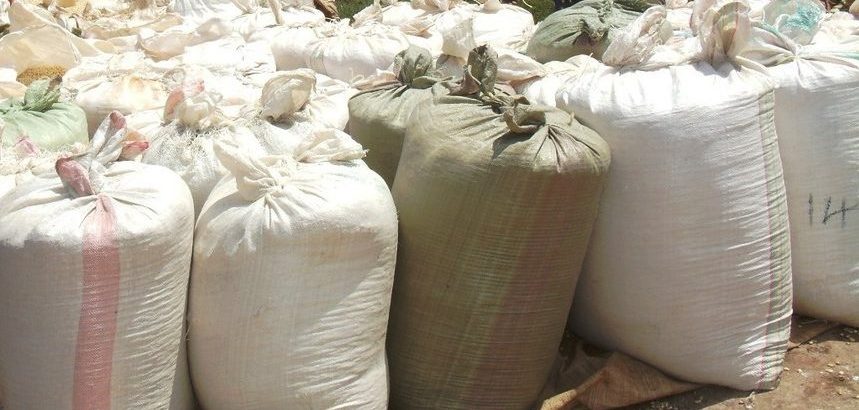 maize bags by The Star 1 e1764753063595