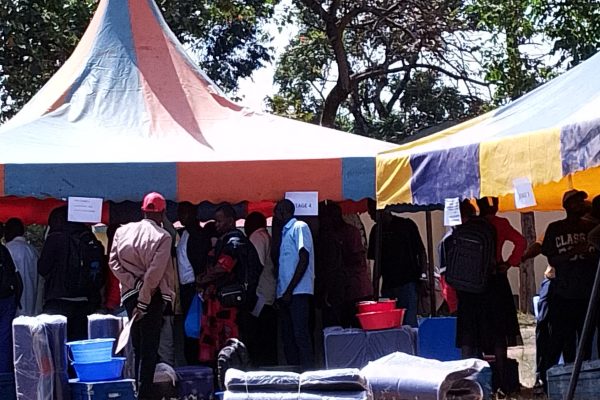 1000066985 e1768382361604