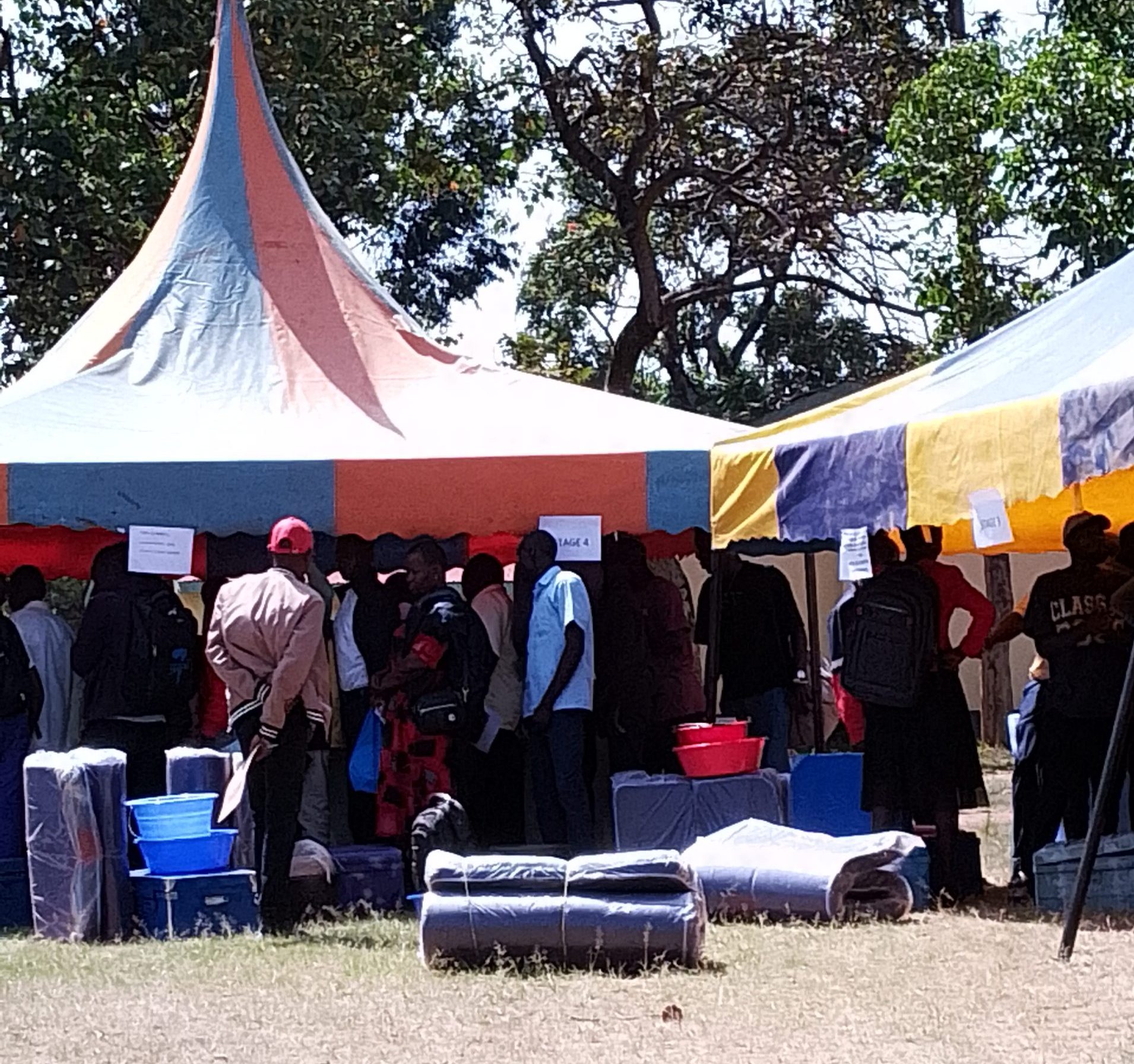 1000066985 e1768382361604