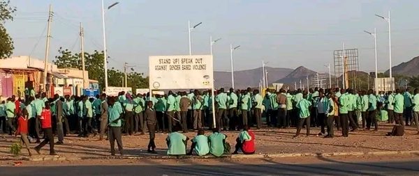 1001184176 e1768548759942