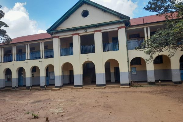 488223323 1124770826334005 4961036356012084289 n