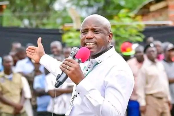 598110350 1314710024004568 5442303841380983481 n