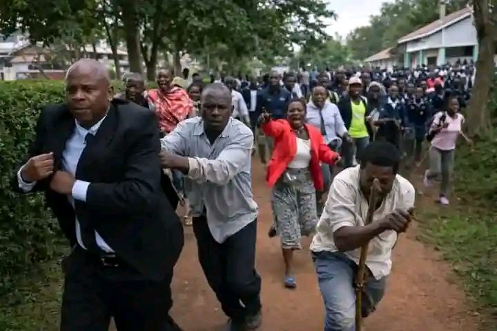 614555972 122196624908499716 873453410274870598 n