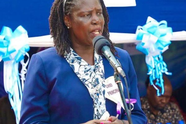 IMG 20260131 WA0060 e1769858410194