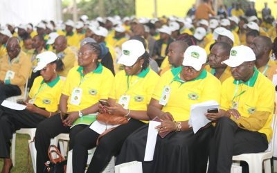 WhatsApp Image 2025 06 07 at 10.29.58