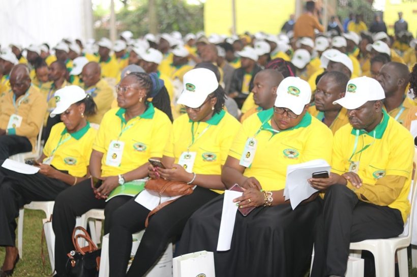 WhatsApp Image 2025 06 07 at 10.29.58