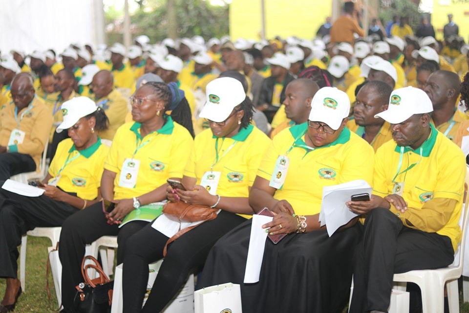 WhatsApp Image 2025 06 07 at 10.29.58