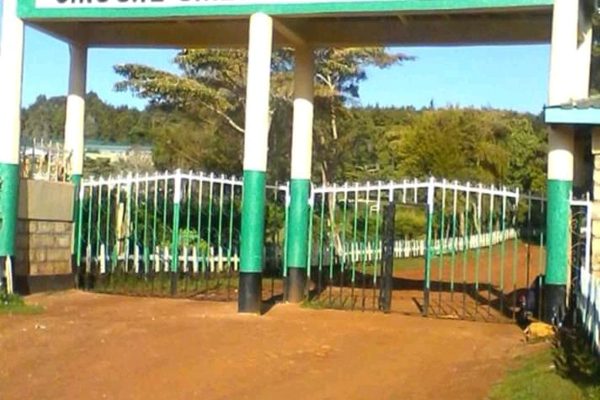 X8jU4VN9FGFB IMG 15457247141441105