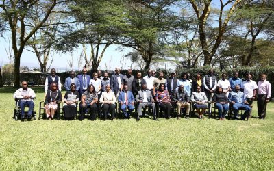 625400550 1371154345052326 7715388664427166194 n