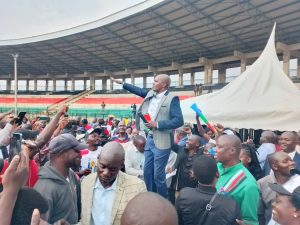 633558908 1246202067613568 7753904161693760696 n