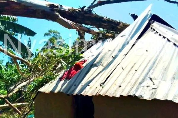 The remains of one the seven houses