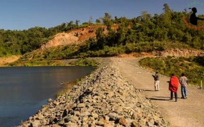 A section of Chemasusu Dam in Baringo County.