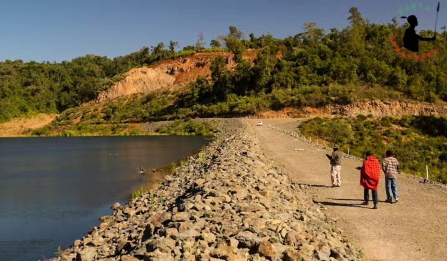 A section of Chemasusu Dam in Baringo County.