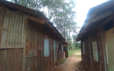 Makeshift structures at Shidodo Primary School in Kakamega County