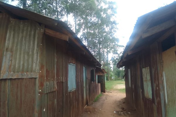 Makeshift structures at Shidodo Primary School in Kakamega County