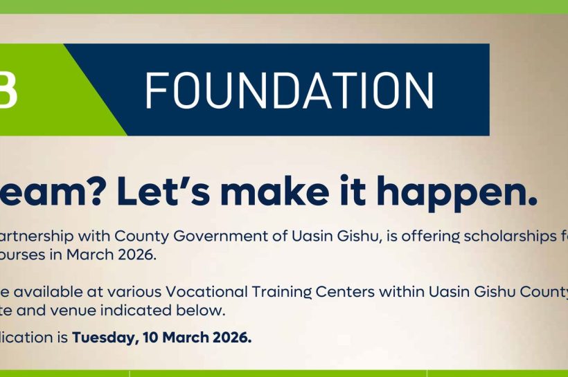 KCB Foundation, NG-CDF partners