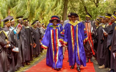 647003501 1416837530457414 6113755082487787950 n