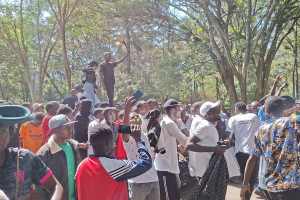 650482805 1365379202285486 8049319506522215595 n