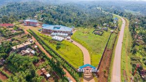 650937318 1482149909936800 3246106610089568502 n