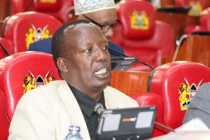 651174033 1408333358001091 1686684674789672214 n