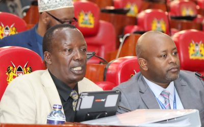 National Assembly Committee on Education Chairman MP Julius Melly (l) during the committee session.