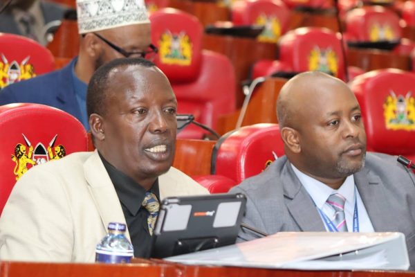 National Assembly Committee on Education Chairman MP Julius Melly (l) during the committee session.