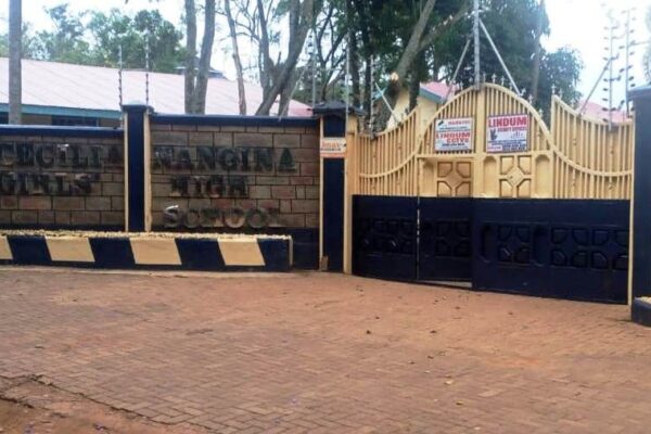 655970328 2241165646626769 5825160281793618331 n