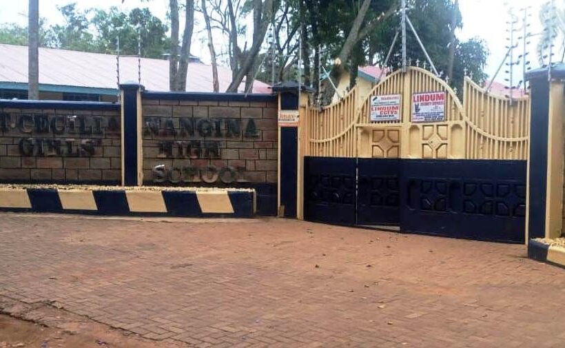 655970328 2241165646626769 5825160281793618331 n