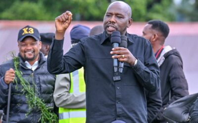 658549029 1496000675224077 3228178483825717913 n