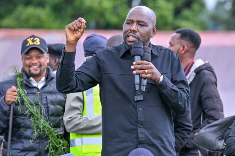 658549029 1496000675224077 3228178483825717913 n