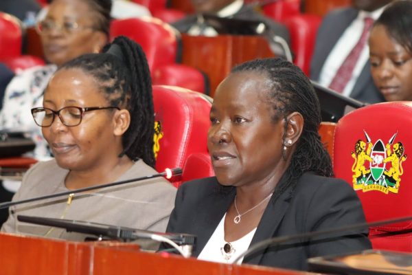 TVET Principal Secretary Dr. Esther Muoria before National Assembly Committee on Education